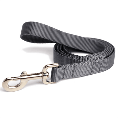 Nylon Webbing Dog Leash - THE BOXER