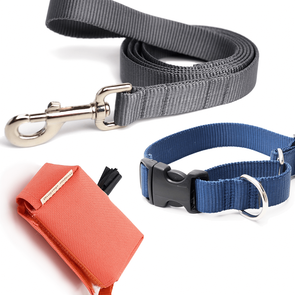 Nylon Webbing Dog Leash - THE BOXER
