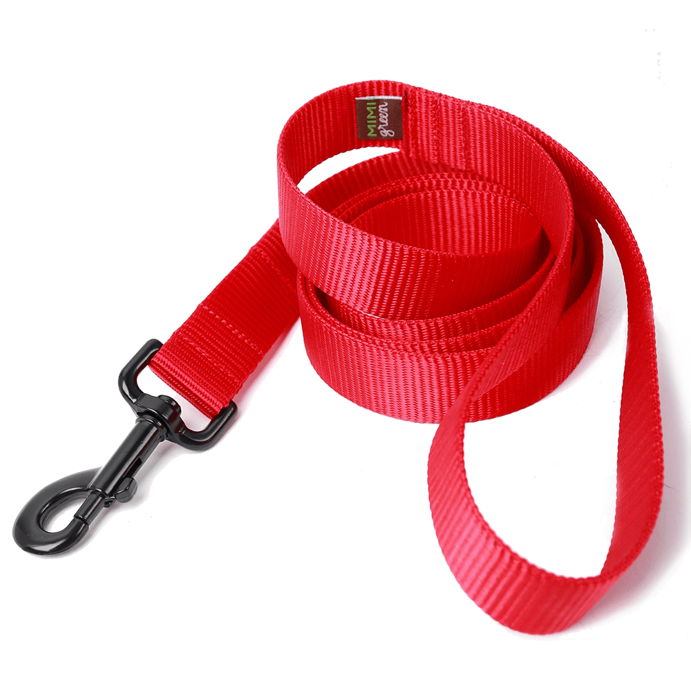 Nylon Webbing Dog Leash - THE BOXER