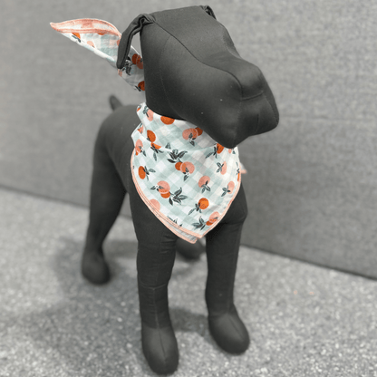 Peaches Bandana - THE BOXER