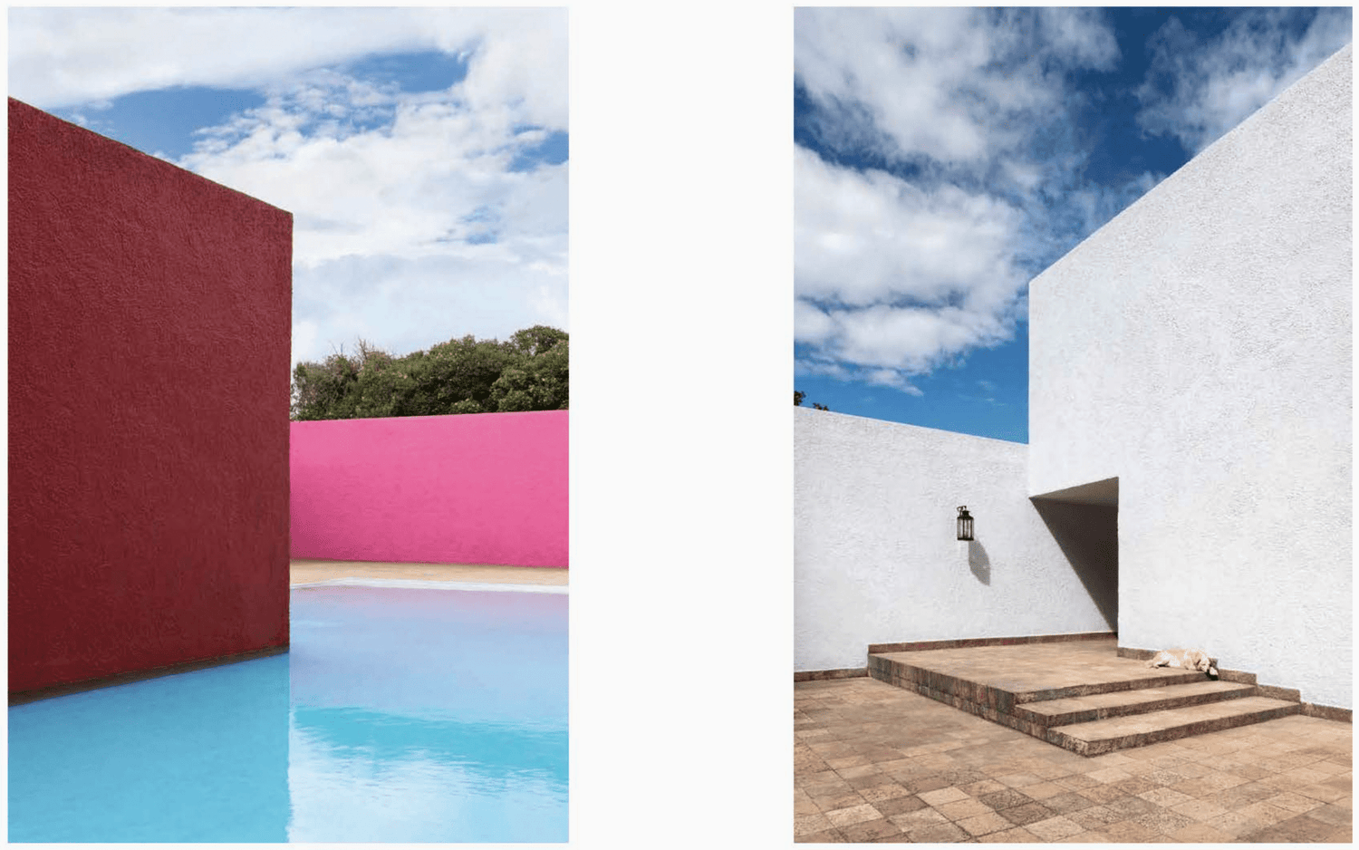 Resident Dog (Volume Two) - THE BOXER