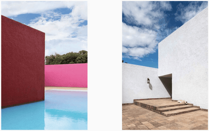 Resident Dog (Volume Two) - THE BOXER