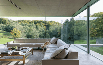 Resident Dog (Volume Two) - THE BOXER