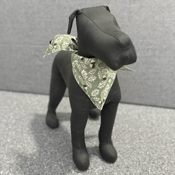 Sage Boone Dog Bandana - THE BOXER