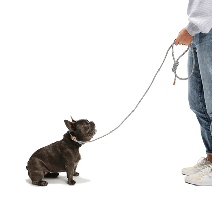 Simple Slip Lead - THE BOXER