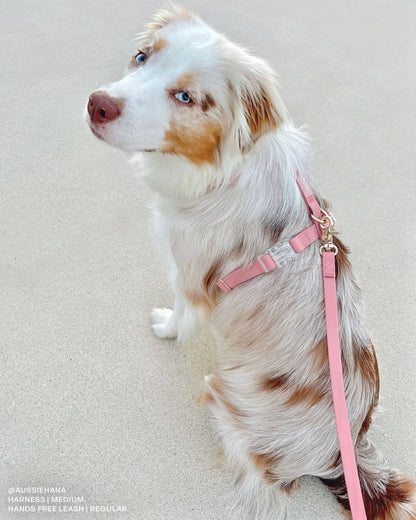 Waterproof Dog Harness - THE BOXER