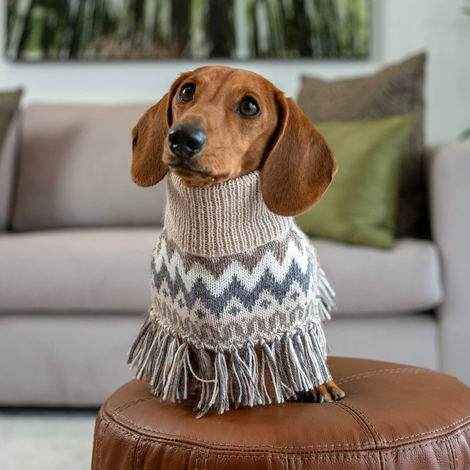 Woolly Winter Alpaca Dog Poncho - THE BOXER