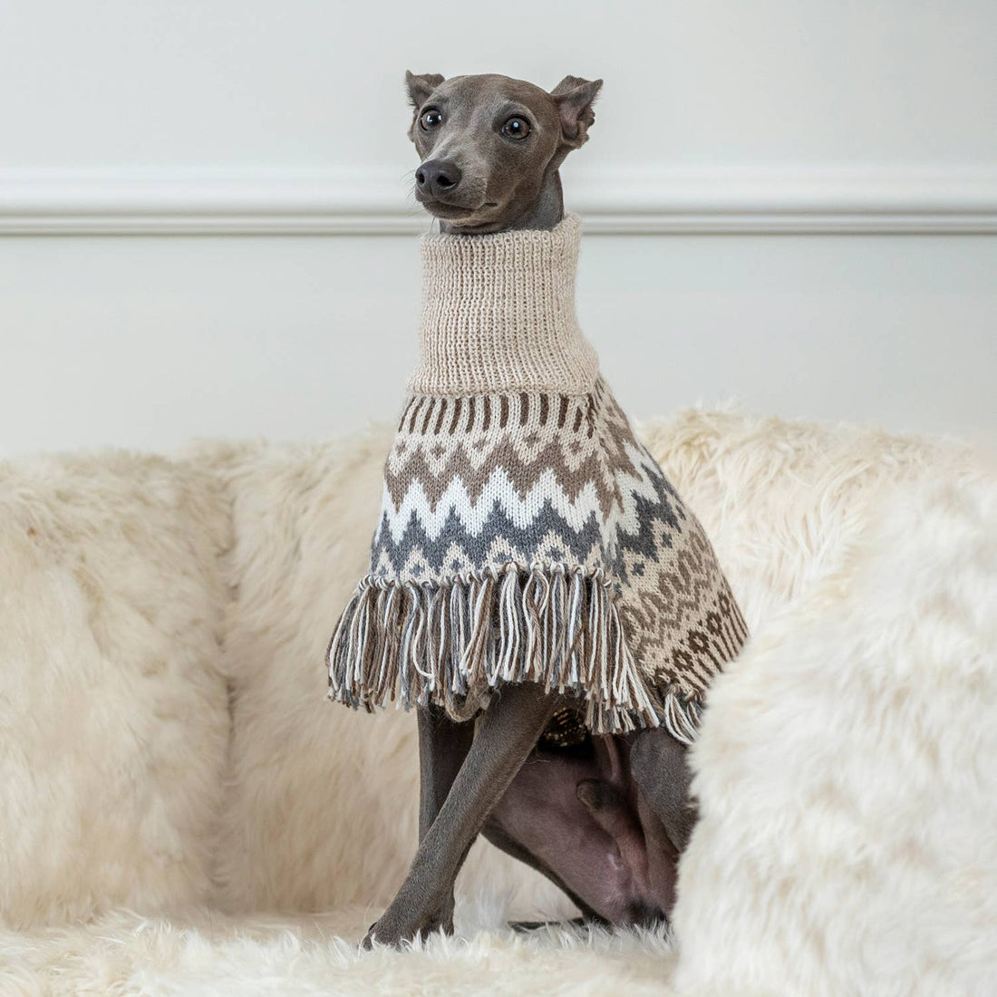 Woolly Winter Alpaca Dog Poncho - THE BOXER